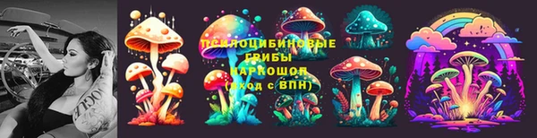 МДПВ Покачи