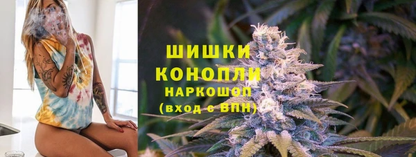 PSILOCYBIN Протвино