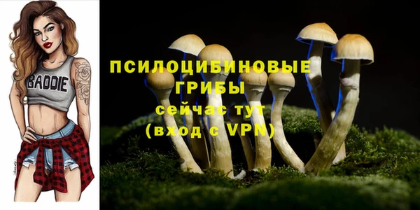 эйфоретик Приозерск