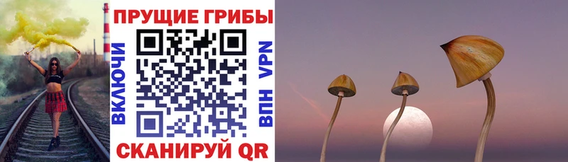 Псилоцибиновые грибы мухоморы  Советск 